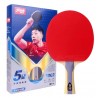 DHS H5002 5 Stars Shakehand Table Tennis racket (Long Handle) with Case