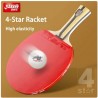 DHS H4002 4 Stars Shakehand Table Tennis racket (Long Handle) with Case