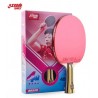 DHS H4002 4 Stars Shakehand Table Tennis racket (Long Handle) with Case