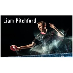 VICTAS Liam Pitchford FL Shakehand Blade  (FL long Handle)